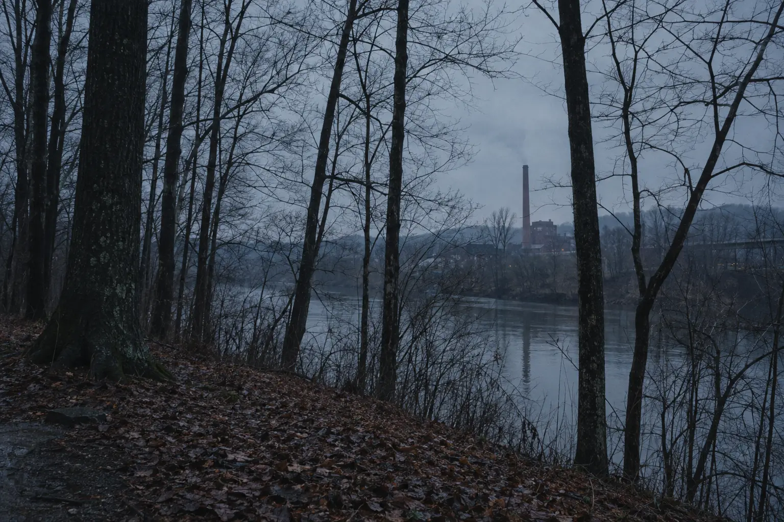 Bare winter woods beside a river in Knoxville at dusk, a distant smokestack through the trees